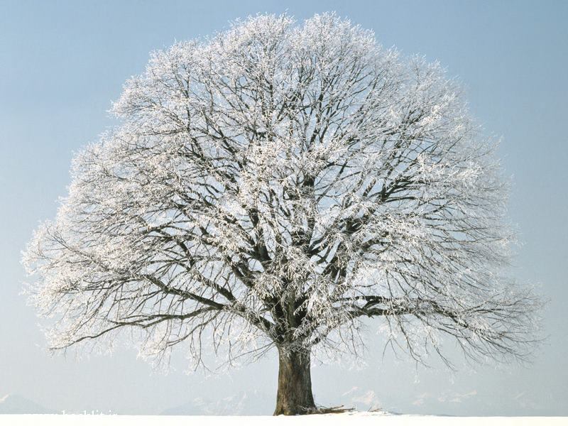 3459